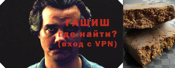 индика Кинешма