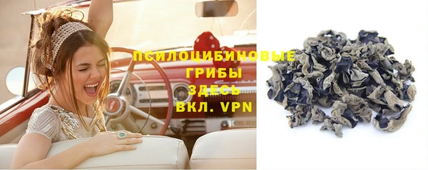 мдпв Михайлов