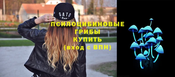 мдпв Михайлов