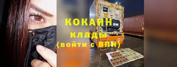 мдпв Михайлов