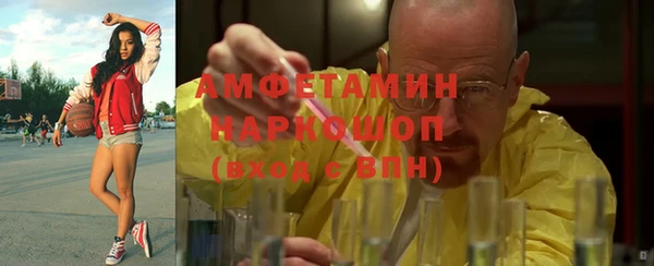 мдпв Михайлов