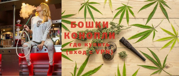 мдпв Михайлов
