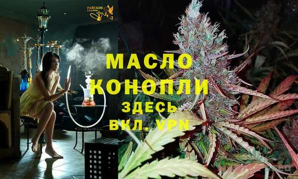 мдпв Михайлов
