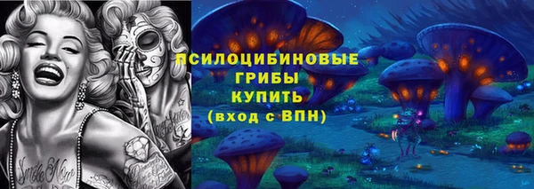 мдпв Михайлов